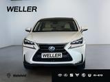 Lexus NX 300h E-FOUR Luxury Line *CAM*Navi*LED*PDC*PAN - Lexus NX 300 Gebrauchtwagen