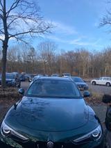 Alfa Romeo Stelvio 2.0 Turbo 16V 206kW Ti AT8-Q4 Ti - Alfa Romeo: Grün