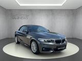 BMW 218 d Cabrio M Sport Navi/Leder/Keyless/1.Hand - BMW 218 in Hamburg