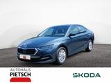 Skoda Octavia Limo 2.0 TDI Active LED AHK SmartLink - Skoda Octavia mit Diesel-Antrieb: Active
