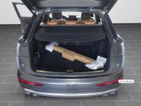 Audi SQ5 - Vorschau Bild 9