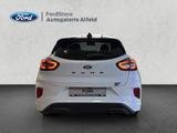 Ford Puma ST Aut. ST Handling-Paket mit KW-Fahrwerk - Ford Puma: Sportwagen