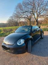 Volkswagen New Beetle Cabrio - Volkswagen New Beetle in Aachen