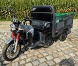 Andere Cargo Runner 25 km/h - TRIKE