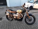 Triumph Street Scrambler 900 *Scheckheftgepflegt* - TRIUMPH 900