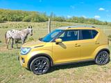 Suzuki Ignis 1.2 DUALJET HYBRID Comfort+ Comfort+ - Suzuki Ignis: Von Privat