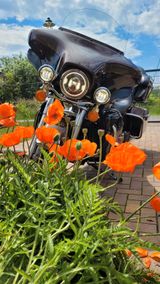 Harley-Davidson E-Glide (FLHTK ANV) - Offers matching your search criteria