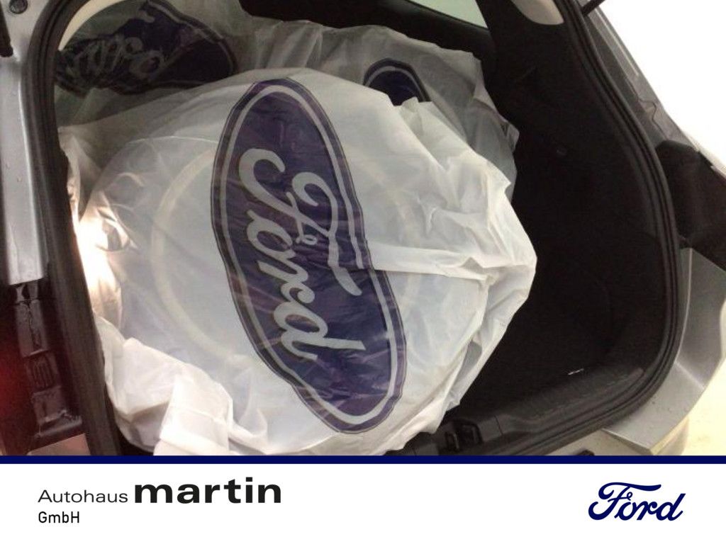 Fahrzeugabbildung Ford Puma 1.0 EcoBoost Titanium S/S