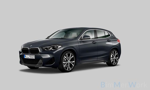 BMW X2 xD20d M Sport Panorama Kamera HUD DAB Komfort