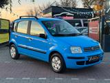 Fiat Panda 1.2 8V Dynamic*Klima*TÜV+SERVICE NEU - gebrauchte Fiat Panda aus dem Jahr 2005