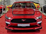 Ford Mustang 5.0 GT*FASTBACK*LEDER*RECARO* - Ford Mustang: Rot