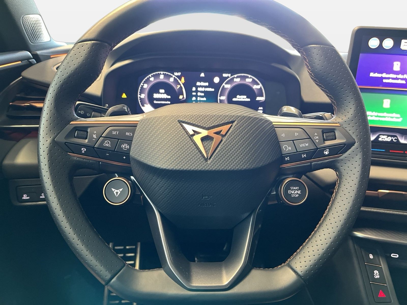 Cupra Terramar - Bild 17