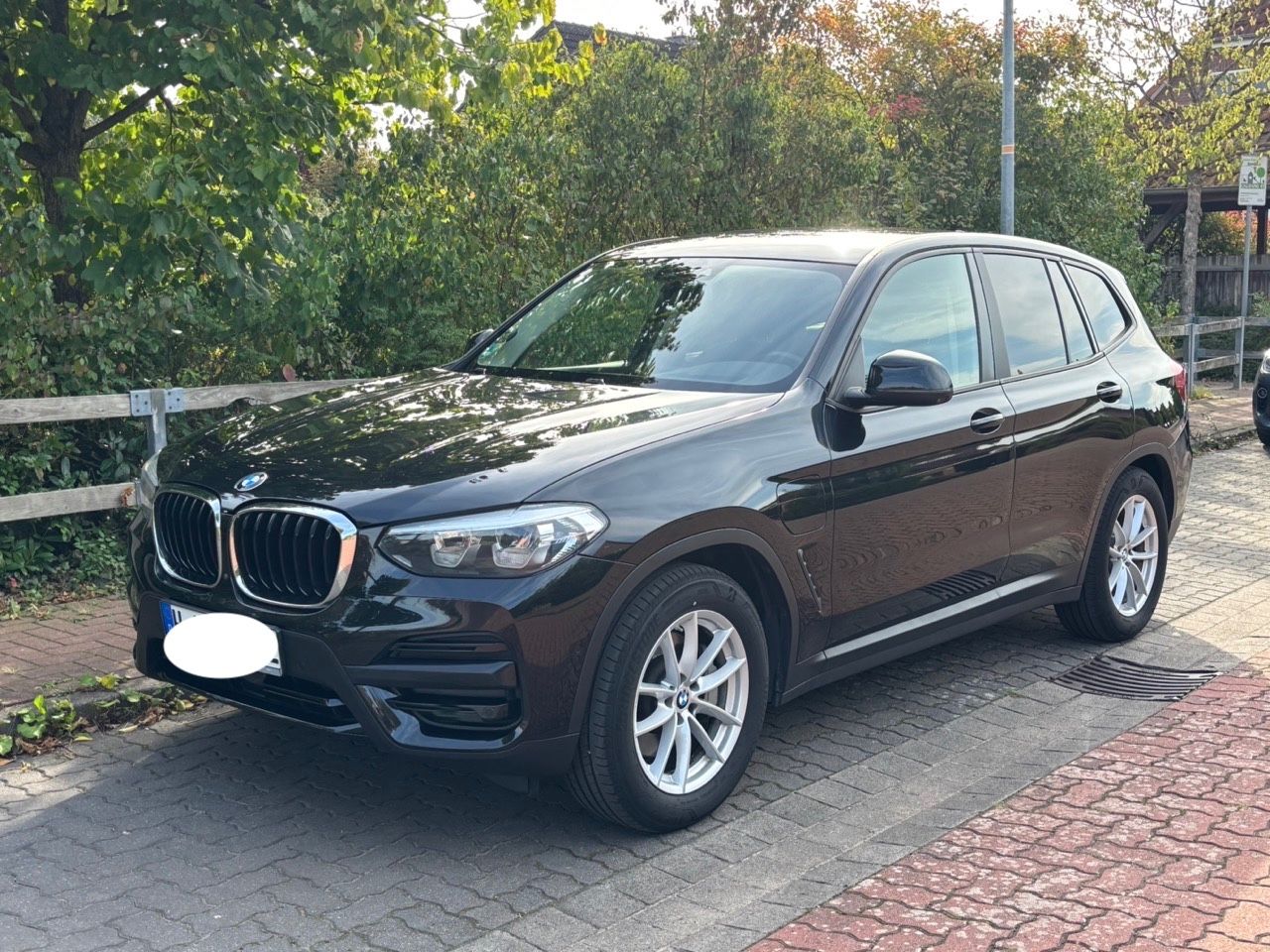 BMW X3 xDrive30e 360 Kamera, HUD, AHK