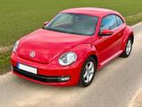 Volkswagen Beetle 1.2 TSI Design mit CarPlay & Käfer-Felgen - : Felge