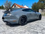 Ford Mustang 5.0 V8 Shelby gt 350 - Ford Mustang: Shelby Gt350