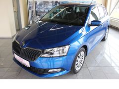 Fahrzeugabbildung Skoda Fabia Ambition 1.0TSI Apple CarPlay,Sitzheizung,