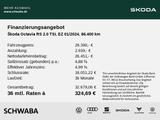Skoda Octavia RS 2.0 TSI DSG - Skoda Octavia: Grün