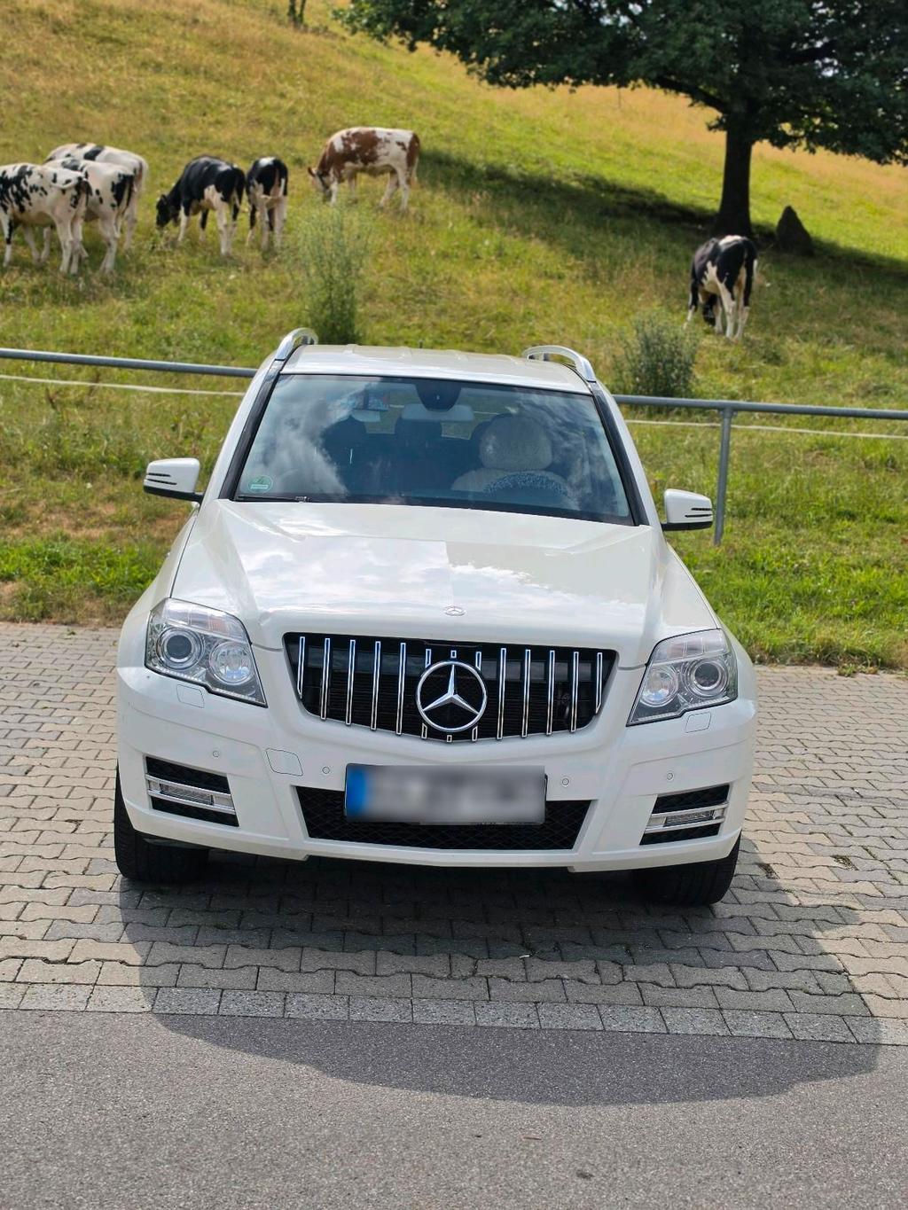 Mercedes-Benz GLK 200 CDI 4MATIC Automatik