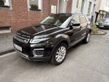 Land Rover Range Rover Evoque 2.0 TD4 110kW Pure Autom.... - Land Rover in Oberhausen