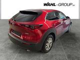 Mazda CX-30 Mazda SKYACTIVX 186ps 6AT FWD Takumi Mazda - Mazda: Mazda6