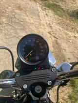 Harley-Davidson Sportster 883 Super Low - unverbastelt - HARLEY-DAVIDSON SPORTSTER 883 LOW