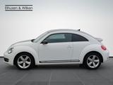 Volkswagen Beetle 2.0+TDI+DSG+SPORT+Bi-XENON+GRA+ - Volkswagen Beetle: TDI