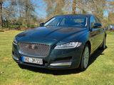 Jaguar XF 30d 300PS Prestige Automatik Prestige - Jaguar XF in Bremen