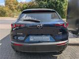 Mazda CX-30 Selection HUD Navi Bose 360 Kamera LED ACC - Mazda CX-30 Gebrauchtwagen in Köln