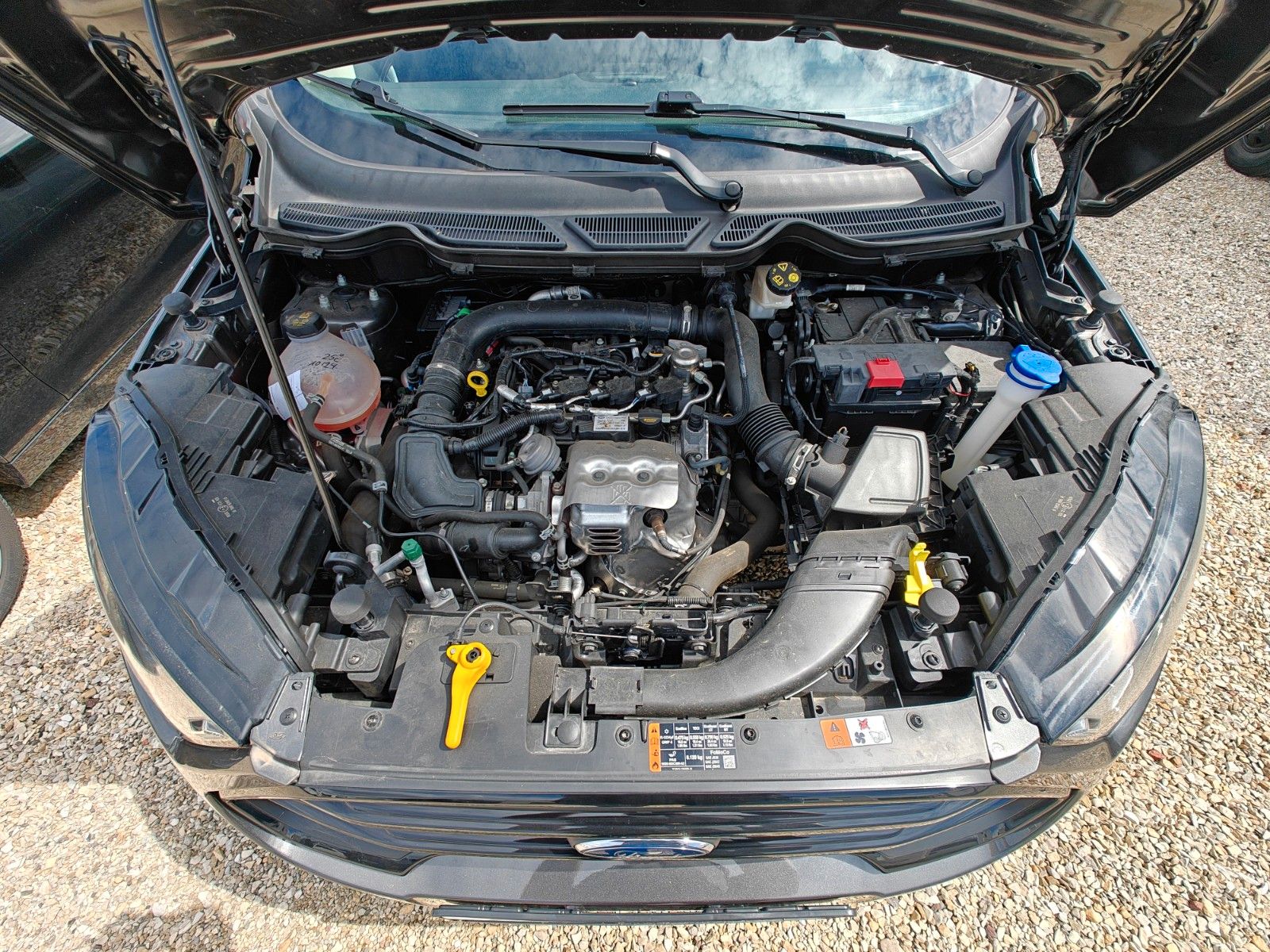 Fahrzeugabbildung Ford EcoSport ST-Line - PDC, SHZ, Lenkradhz -