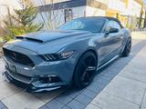 Ford Mustang 50 Year-Edition 5.0 V8 GT - Ford Mustang: Edition