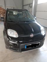 Fiat Panda WILD 4X4  - Fiat Panda: Allradantrieb