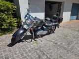 Suzuki VL 800 Country Star - Offers