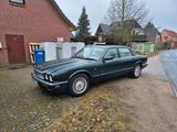 Jaguar x300 X300 3.2L EXECUTIVE  Tüv machb... - gebrauchte Jaguar XJ6 aus dem Jahr 1996
