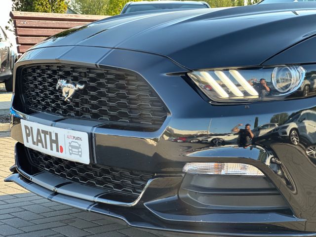 Ford Mustang  USA Shelby Optik