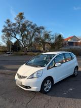 Honda Jazz Automatik, TÜV NEU 03/2028, Kli... - Honda Jazz in Braunschweig