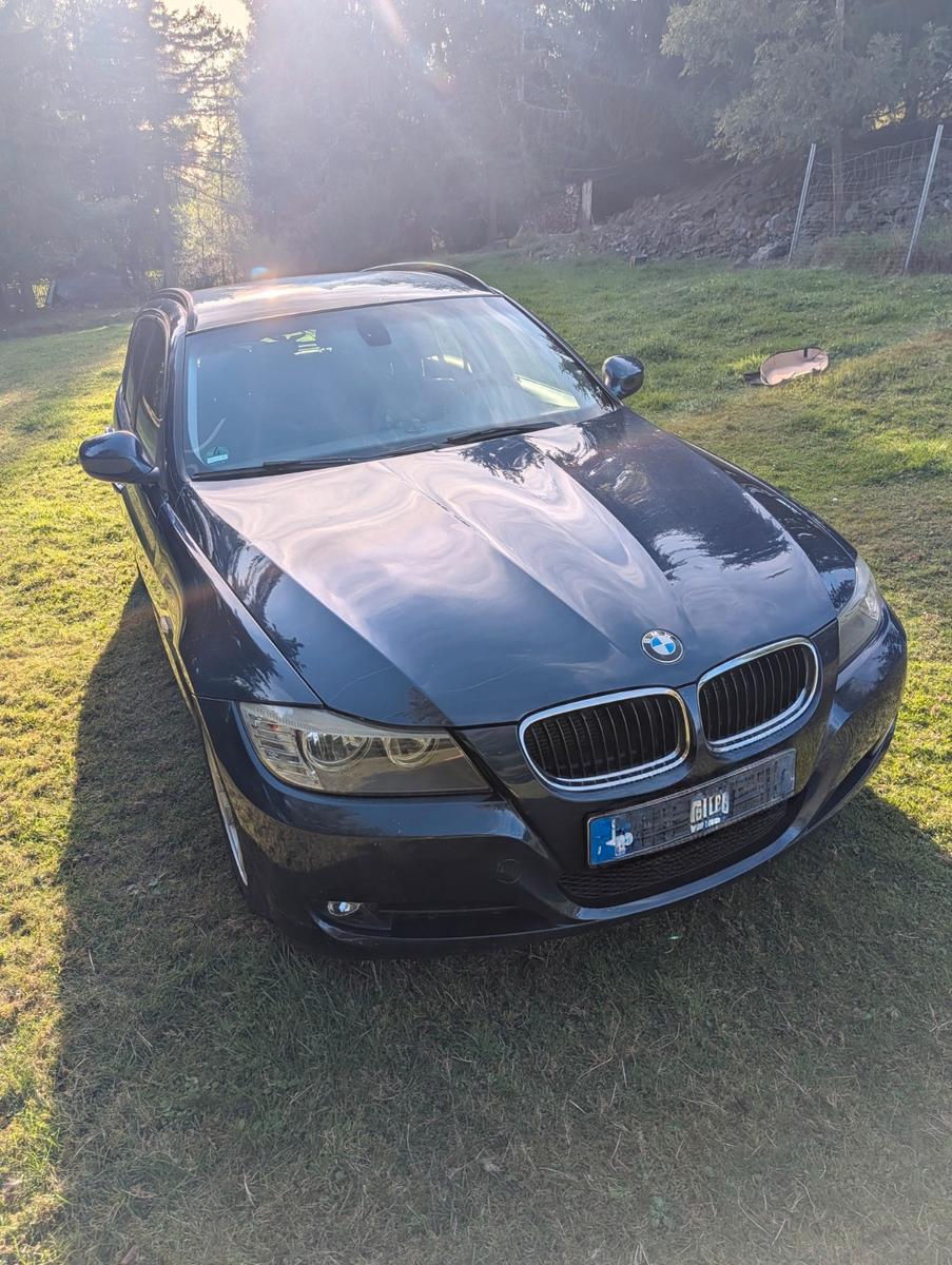 BMW 318 2011 — вигляд ззаду