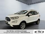 Ford EcoSport Titanium 1.0 EcoBoost Flügeltür Tempoma - Ford: Pickup, F1