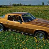 Chevrolet 77er Camaro US Car Oldtimer  - Chevrolet Gebrauchtwagen von 1977