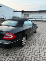 Mercedes-Benz Mercedes CLK W209 Cabrio - : Cabrio, Clk 209