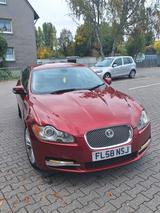Jaguar xf 2,7 disel Rechtslenker - Jaguar XF: 2.7