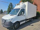 Mercedes-Benz Sprinter 519 CDI/THERMO KING500MAX/Euro6/LBW - Offers matching your search criteria