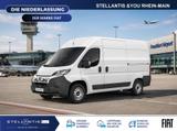Fiat Ducato L2H2 3,5 T 140 PS Aut Techno City Plus - Fiat Ducato in Wiesbaden