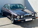 Jaguar XJ12 Daimler Double Six *2.HAND*H-KENNZEICHEN* - Jaguar XJ12 aus 1993