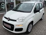 Fiat Panda Easy 1Hand 51 kW