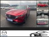 Mazda CX-5 SKYACTIV-G 165 Advange aAHK - Mazda CX-5 in Hamm