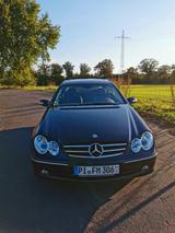 Mercedes-Benz CLK 500 ELEGANCE Elegance 75tkm - Mercedes-Benz CLK 500: Coupe