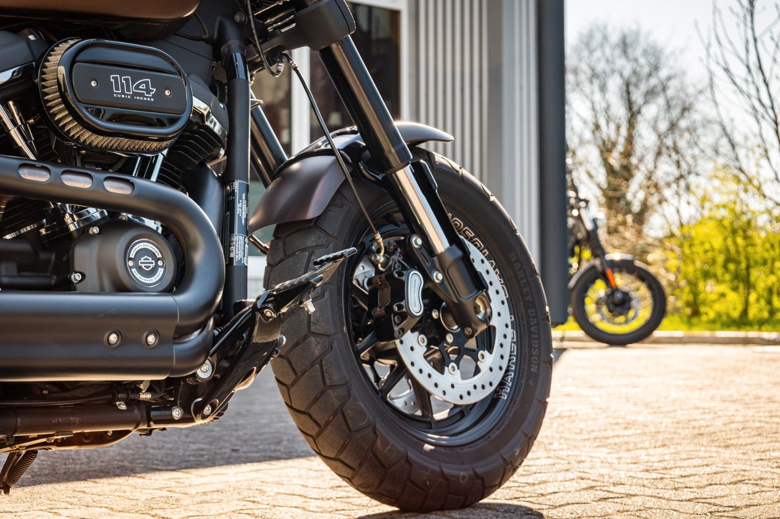 Fahrzeugabbildung Harley-Davidson FXFBS FAT BOB 114 CUI SOFTAIL - Penzl -