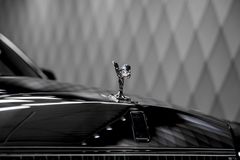 Phantom EWB 2026 BLACK/BEIGE STARLIGHT FULL