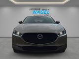 Mazda CX-30 2.5L e-SKYACTIV-G 140PS *Takumi*  LEDER - Mazda mit Benzin-Antrieb: Geländewagen, Automatik