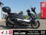 Honda Forza 350 Nur 2100 km, neuwertig ! - Offers
